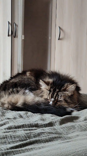 Gard'animaux Millau