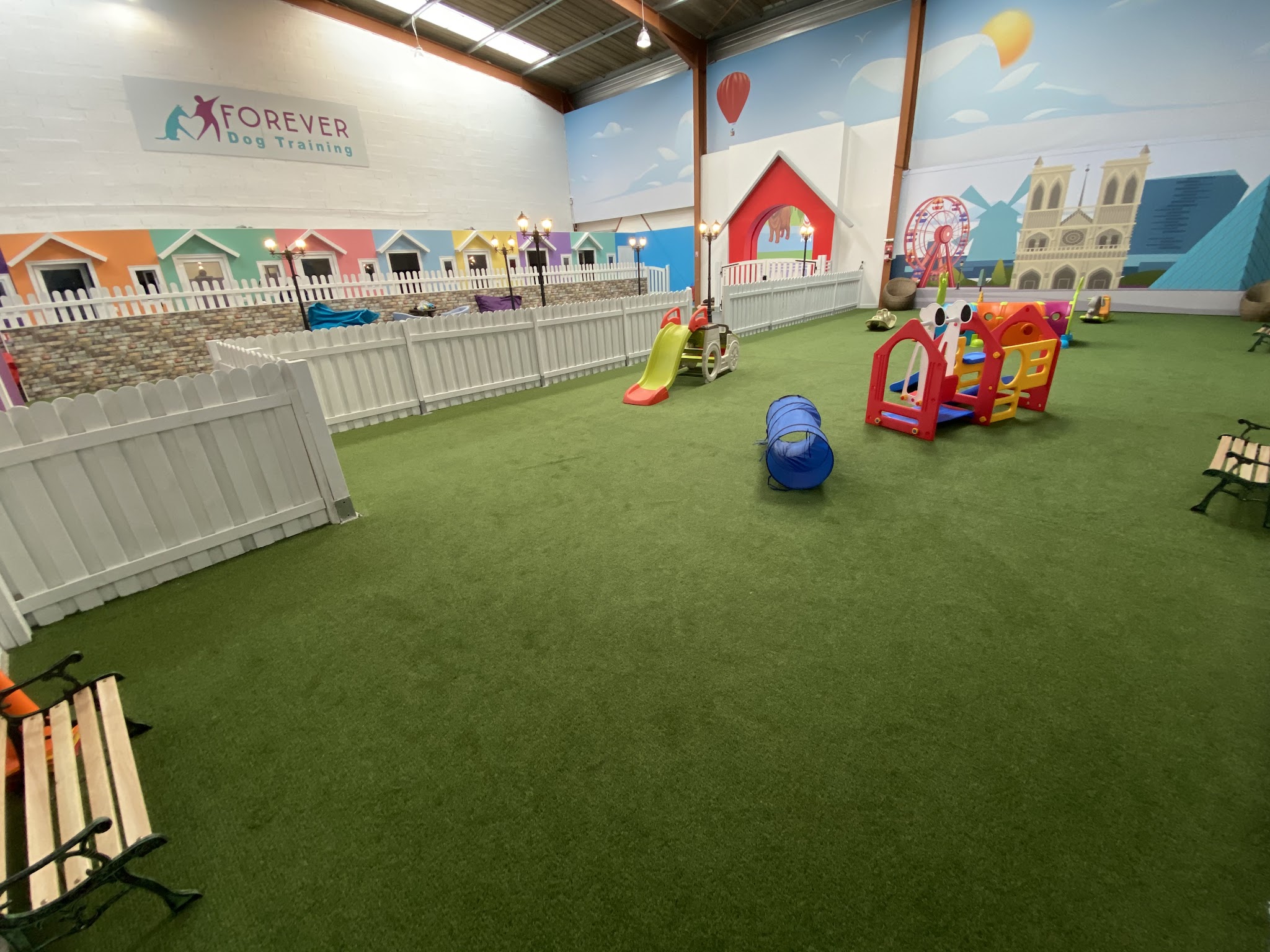 Forever Dog Training — photo