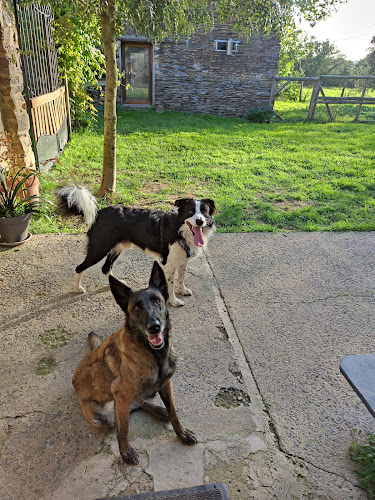 PASSION DE CLEMENTINE l'AUBERGE CANINE -toilettage-gardiennage-distributrice croquette