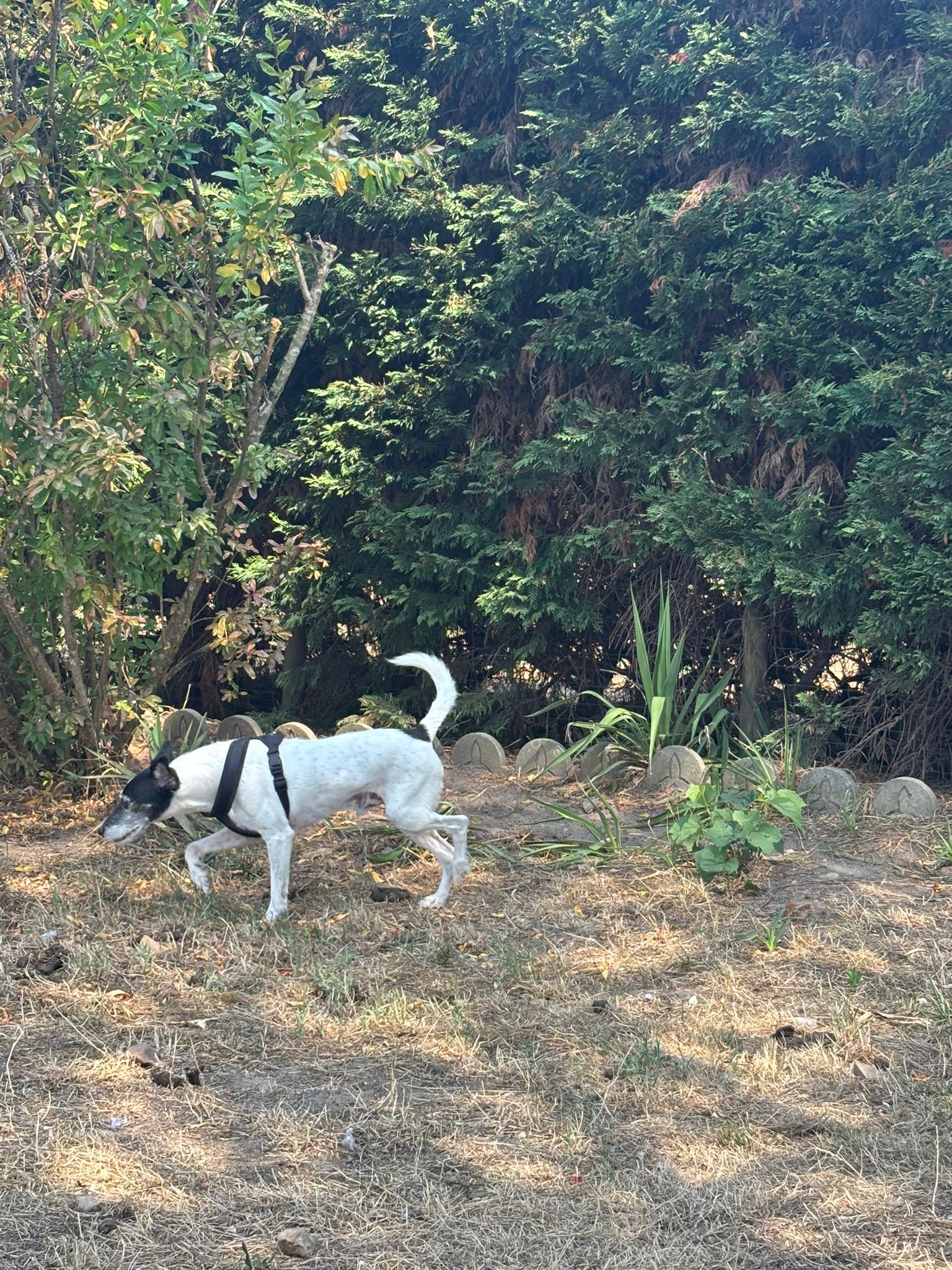 Domaine du fort de pile — photo