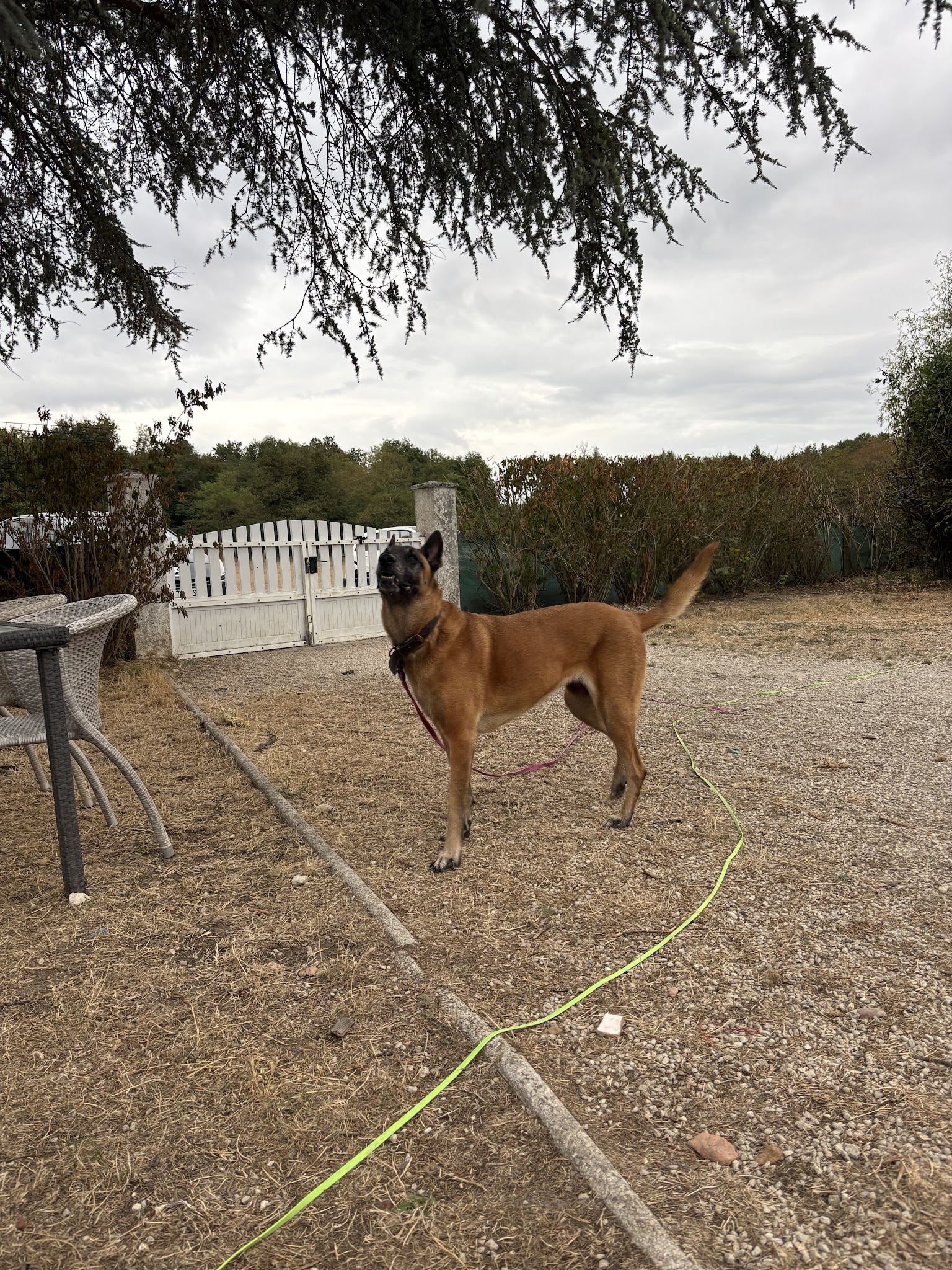 Domaine du fort de pile — photo