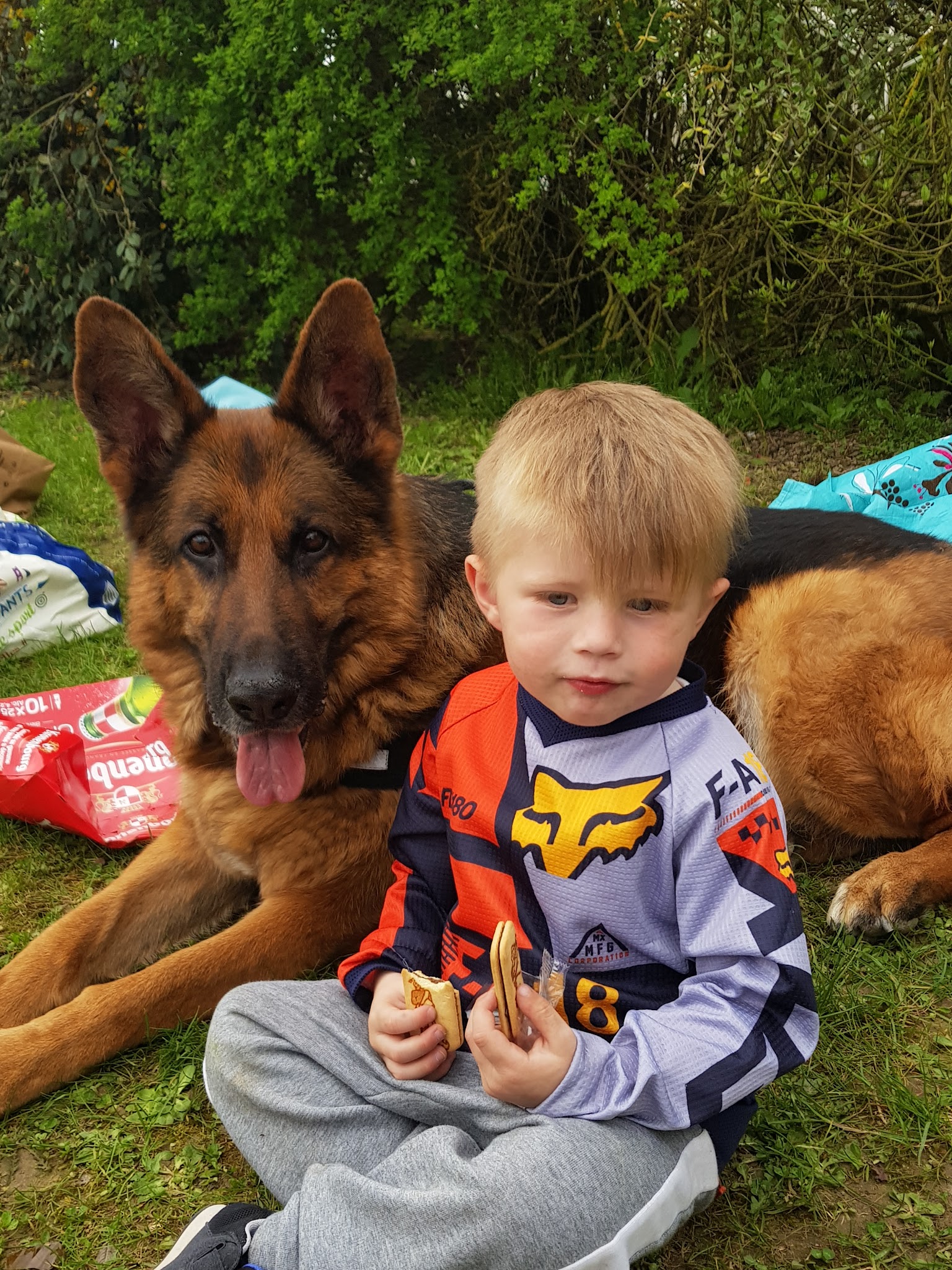 Elevage et pension canine du Bois Blanc Val (SARL Des Cotes Noires) — photo