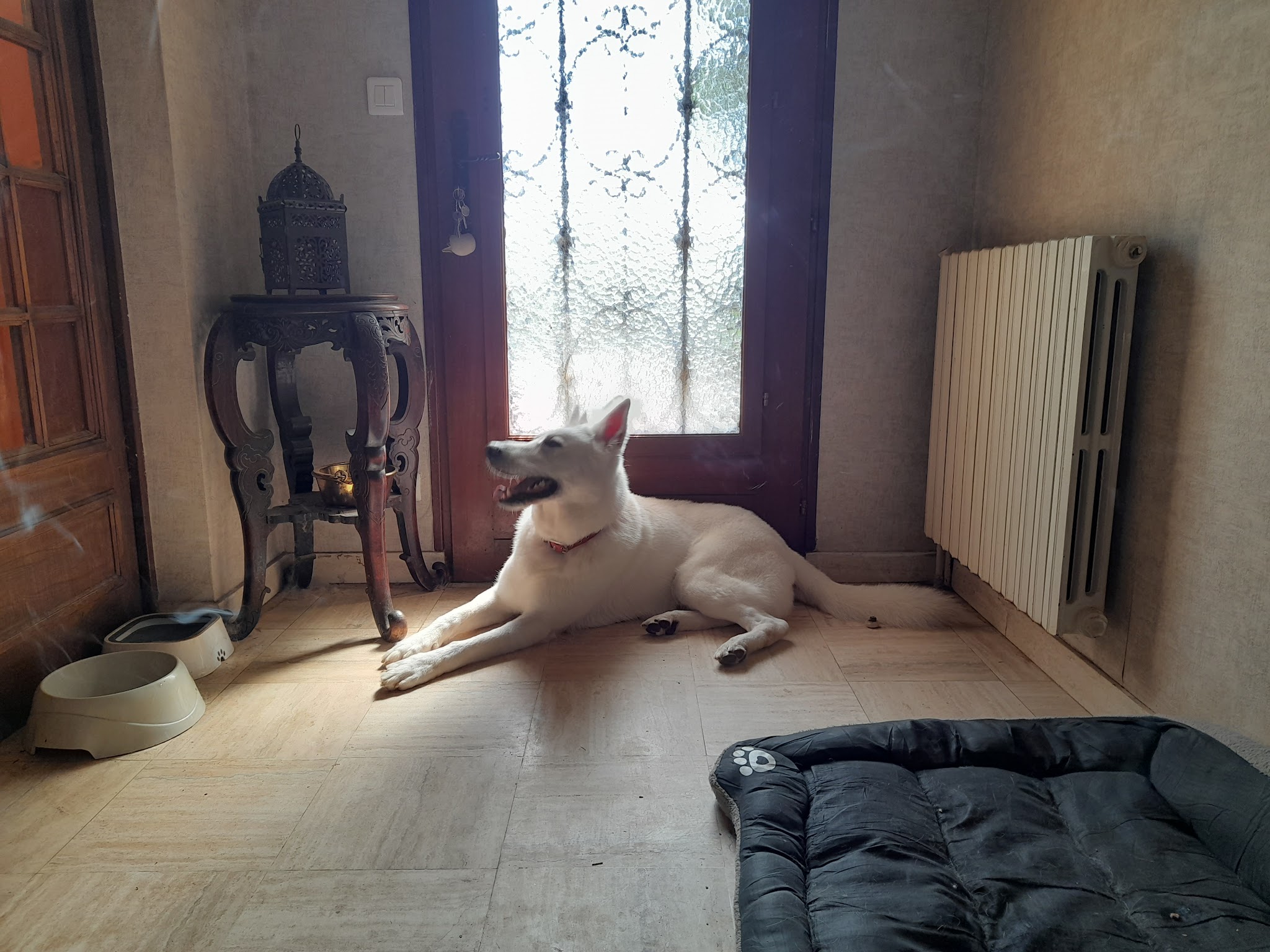 Chenil Du Cossy — photo