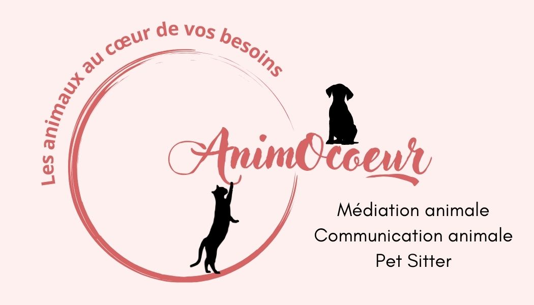 AnimOcoeur — photo