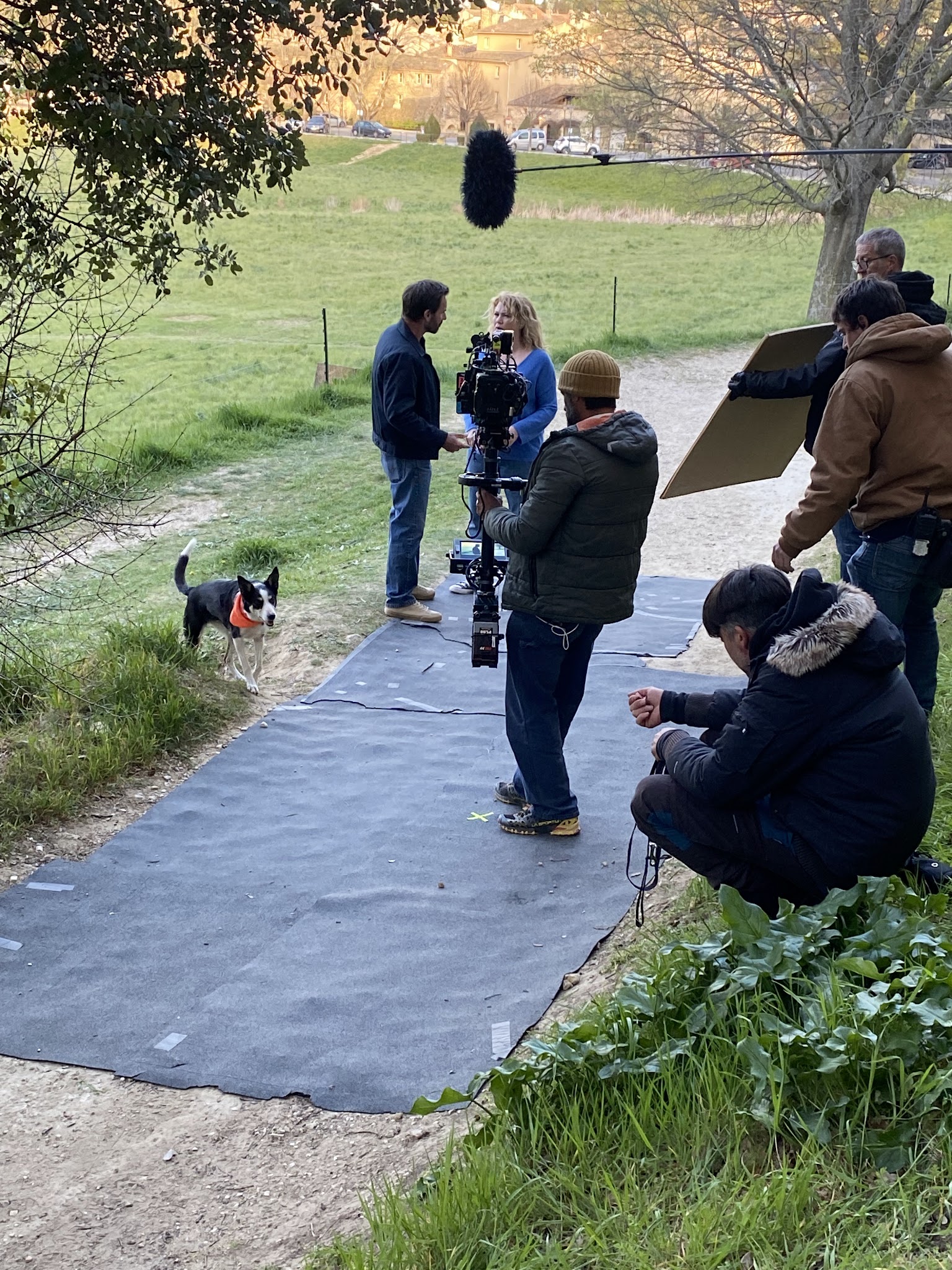 Education canine Aix en Provence — photo