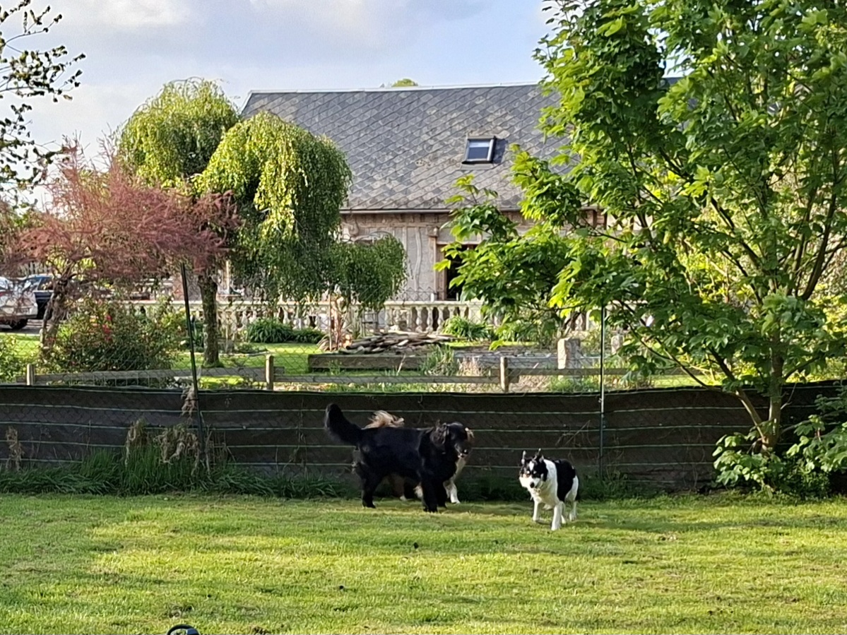 pension Du Domaine Normand — photo