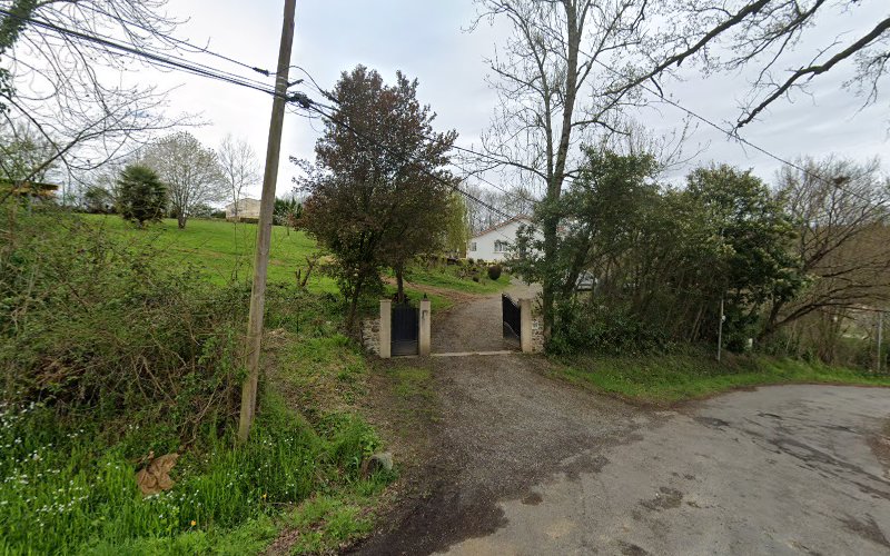 Centre Canin des Bergers du Salat Pension Canine et Féline elevage de Bergers Allemands
