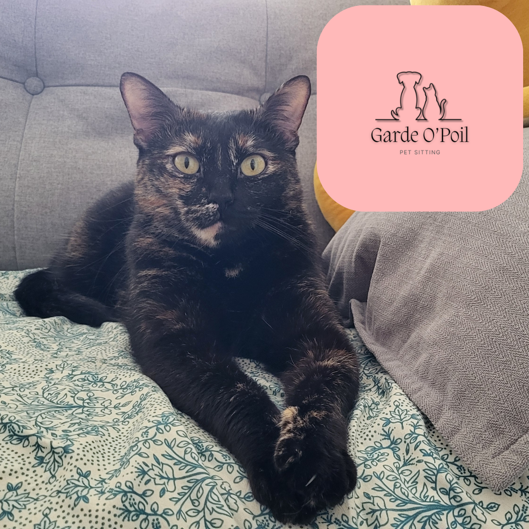 Garde O'Poil | Pet sitter — photo