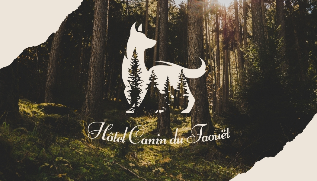 Hôtel canin du Faouët