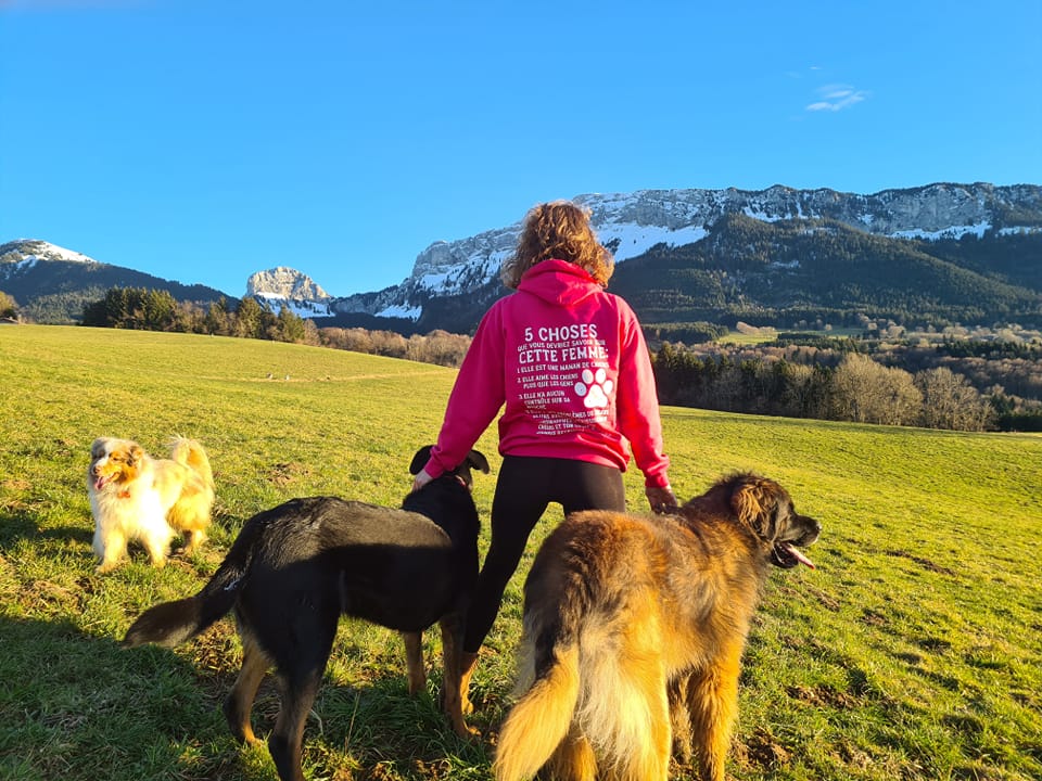 Happy Dog Pets-sitter — photo