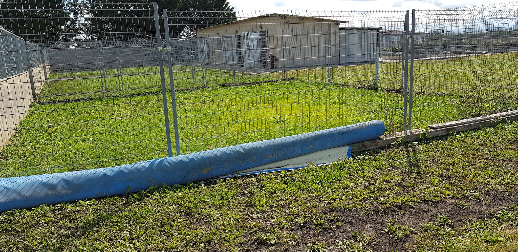 Pension Canine & Féline : Com' Chien & Chat — photo