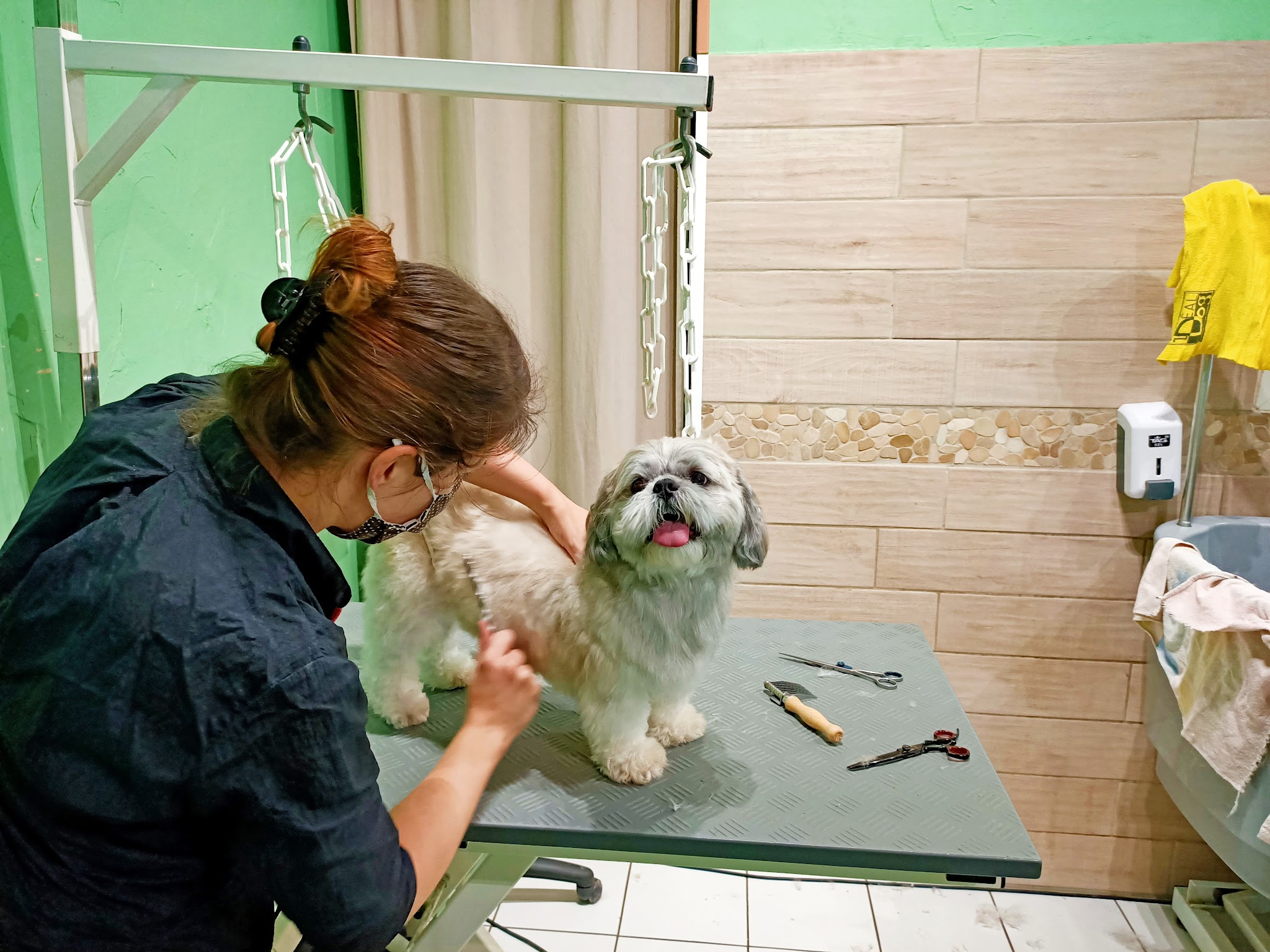 Espace Canin "Aurélien" — photo