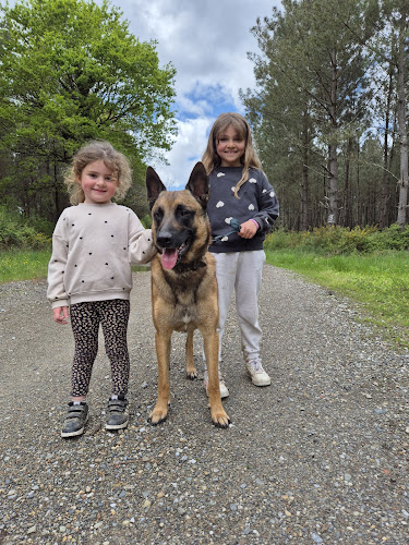 G Educ mon chien | Educateur canin & Pet Sitting Dax