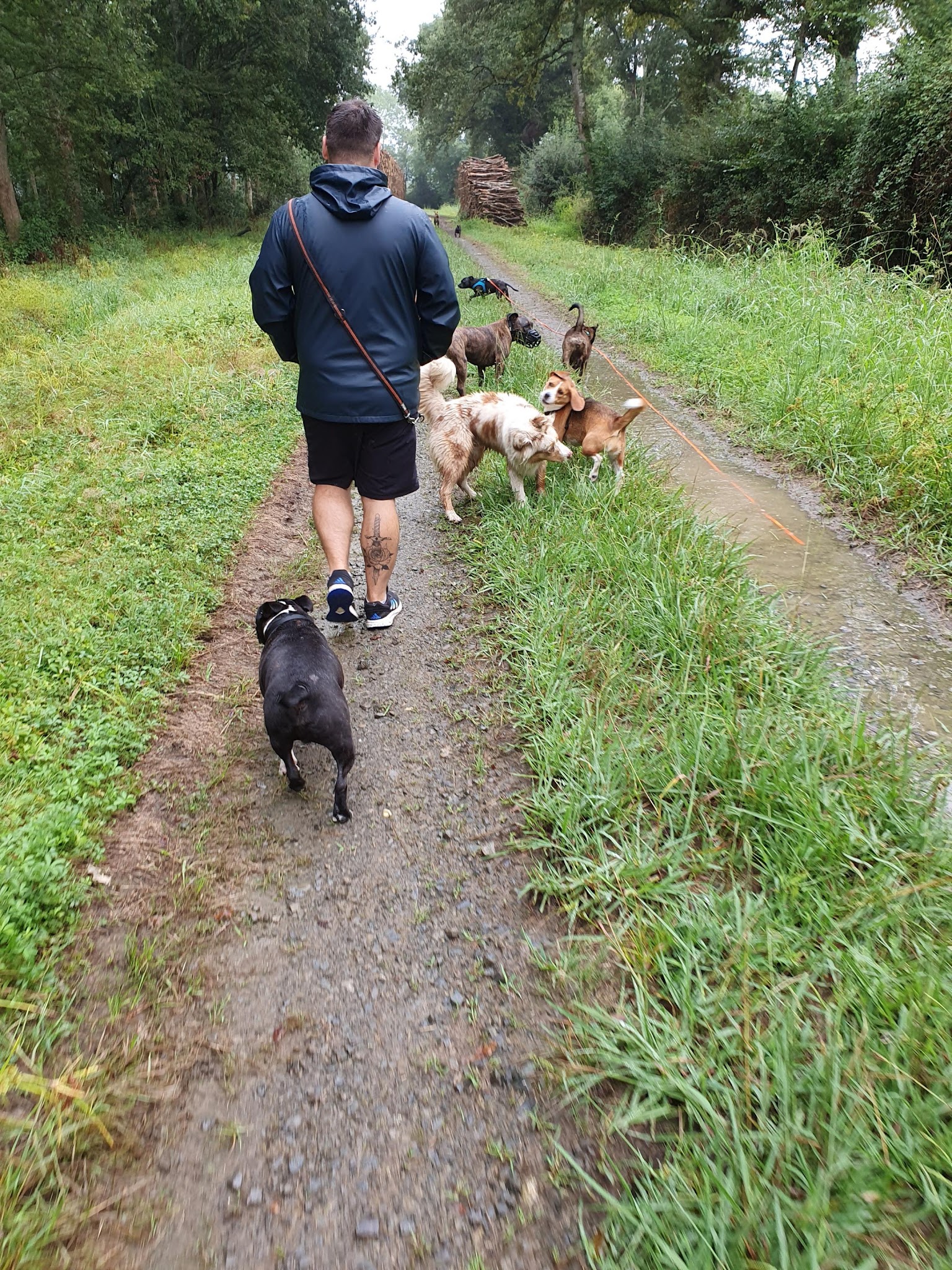 G Educ mon chien | Educateur canin & Pet Sitting Dax — photo