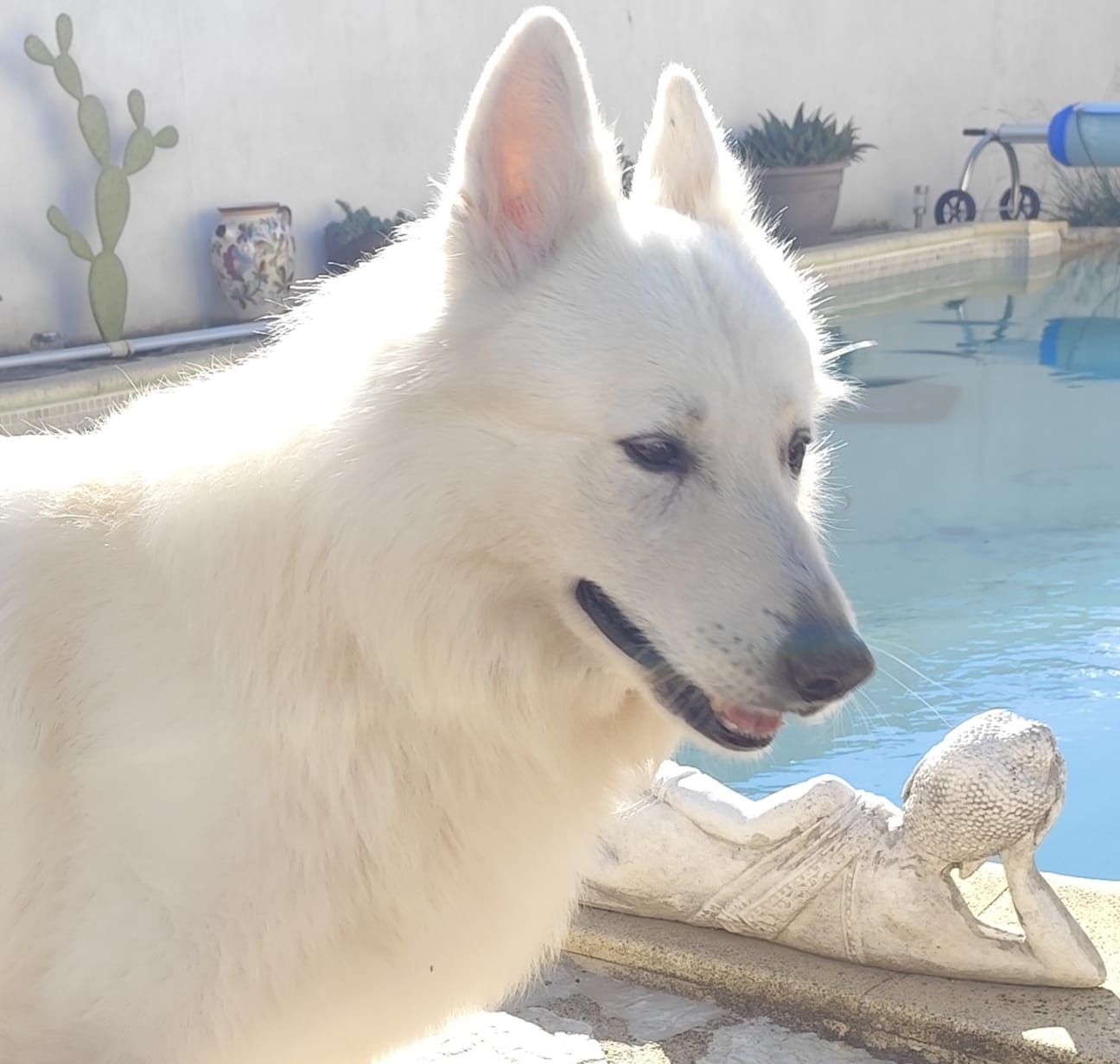 Pet-sitter Lignan/Pension - Dominique Noris — photo