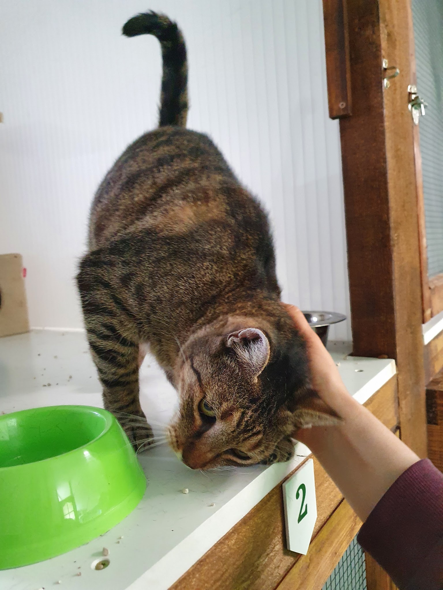 Au Bonheur Des Animaux — photo