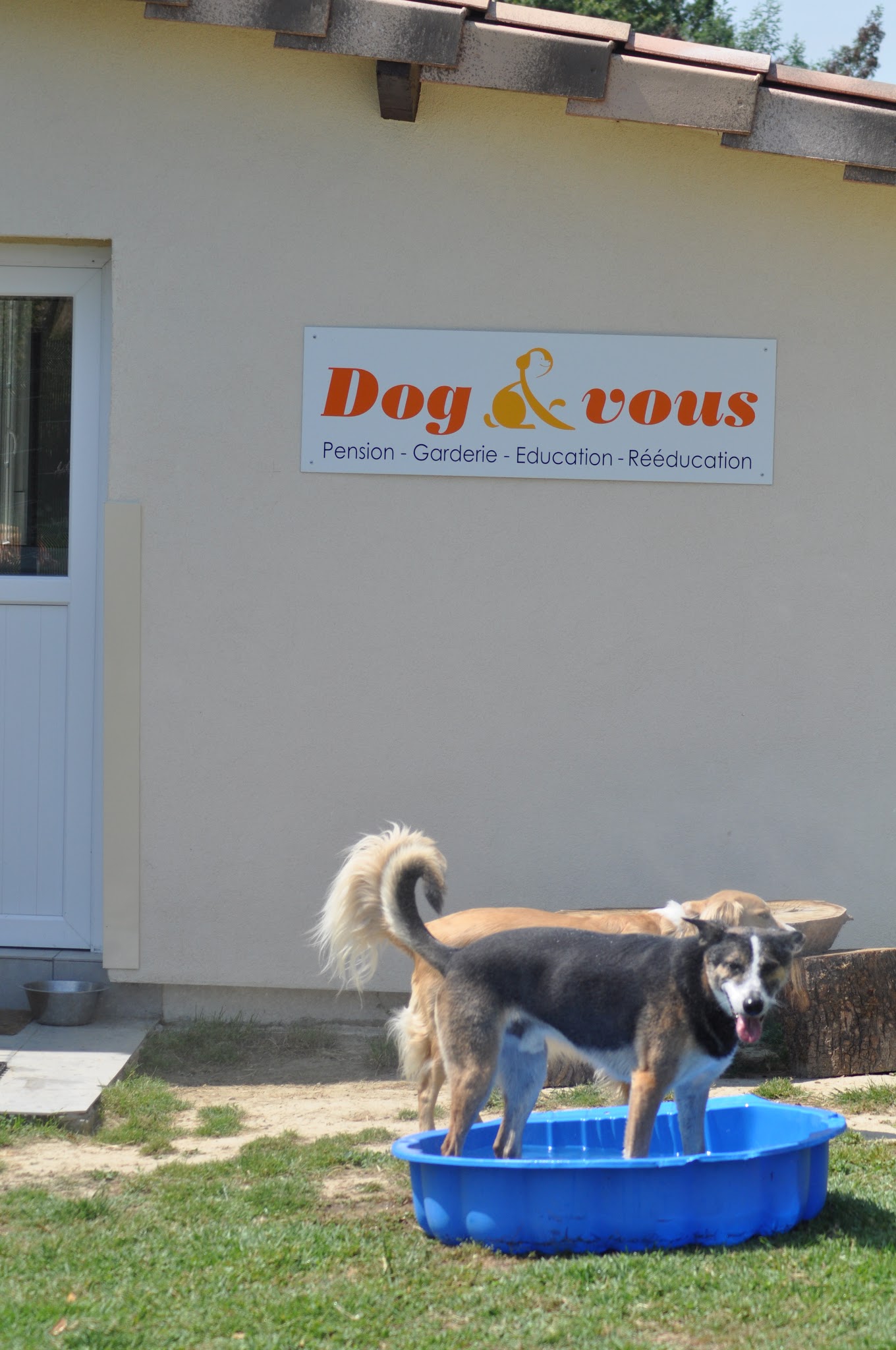 Dog et vous — photo