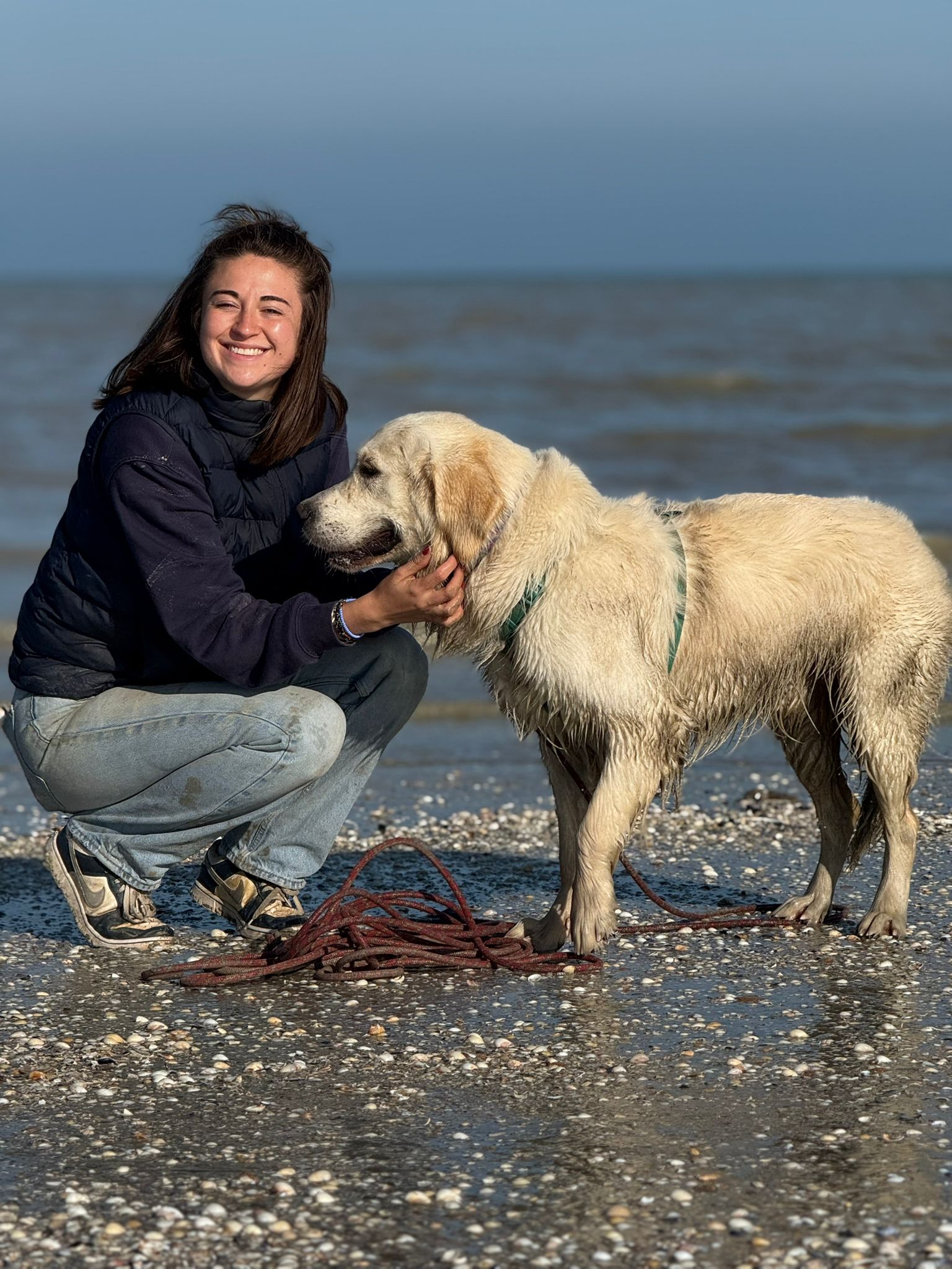 Pensez Chien - Clémentine Duguer — photo