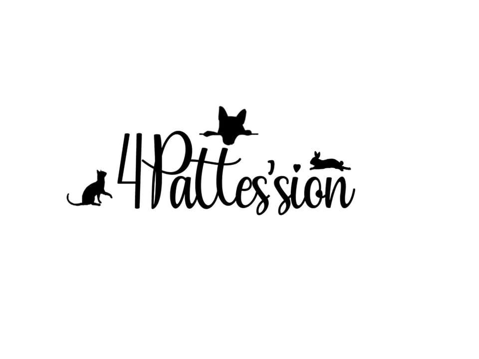4Pattes'sion, Visites à domicile et balades canine — photo
