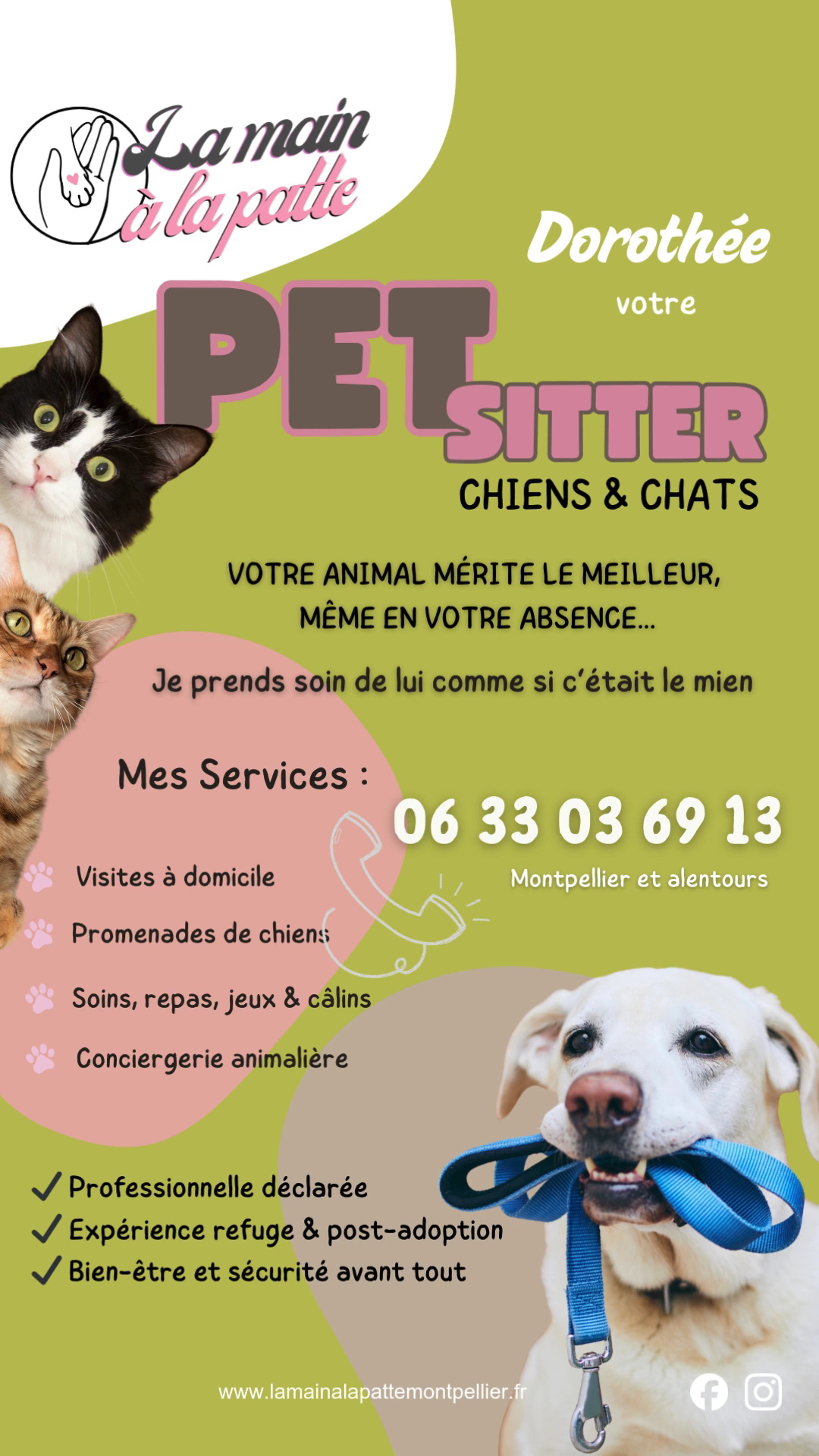 La Main à la Patte Montpellier — photo