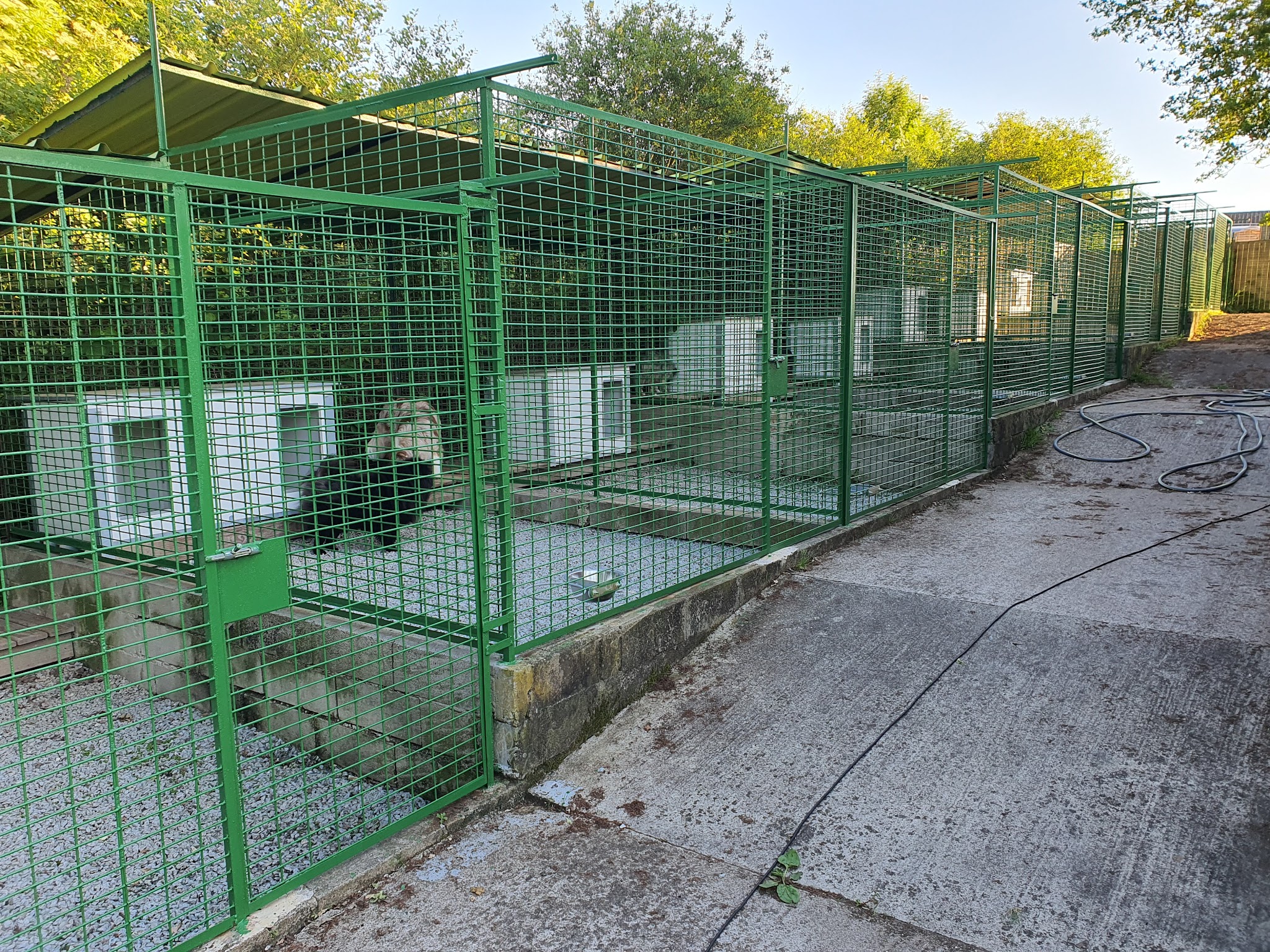 Paul Carchon Pension Education canine — photo