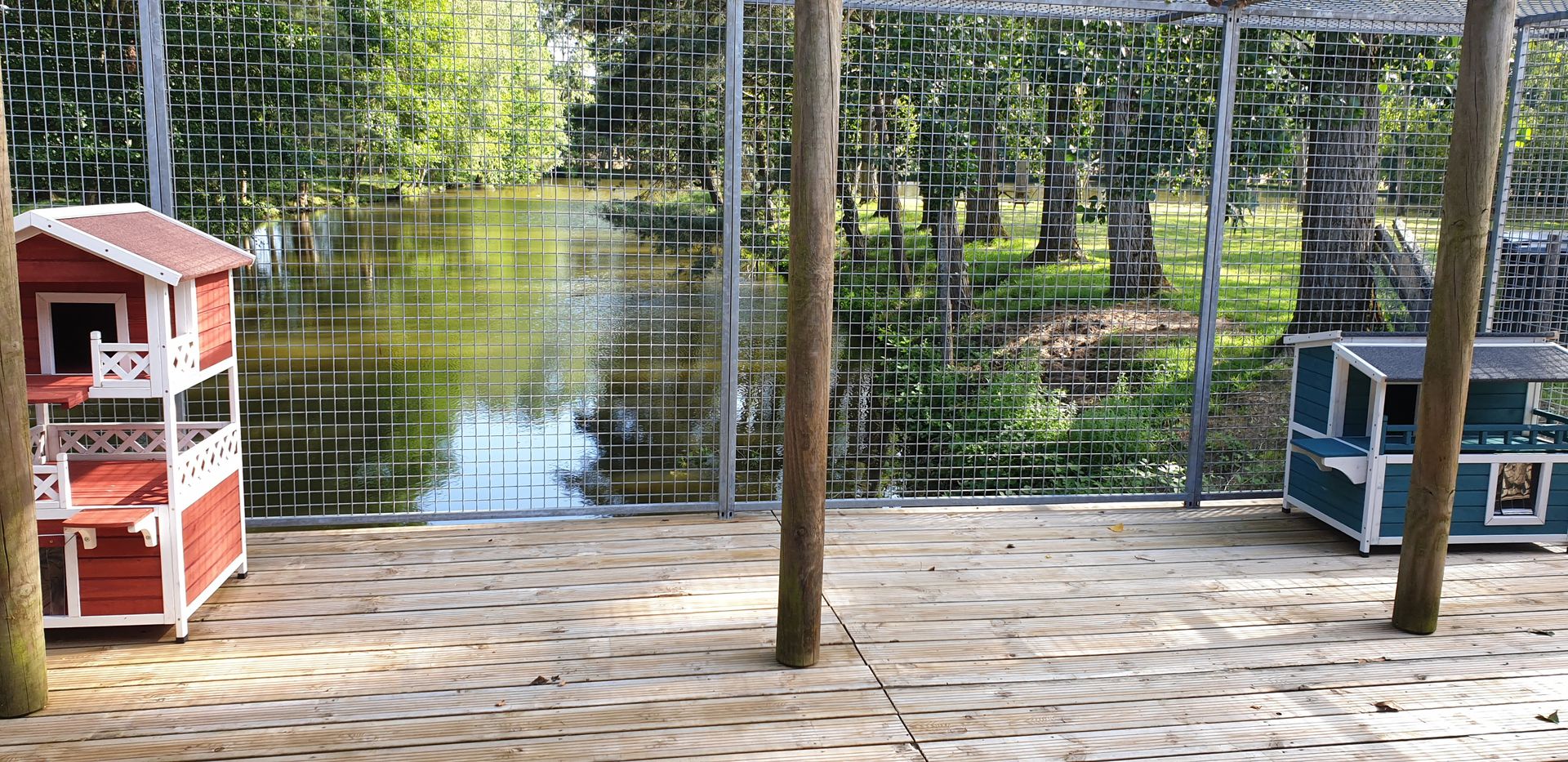 Le Bonheur des 4 Pattes — photo