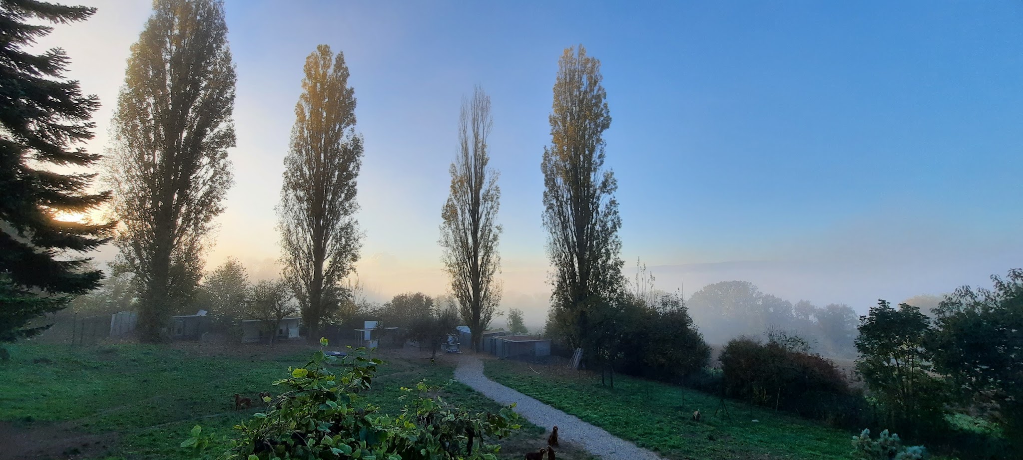 L'Eden Alpin — photo