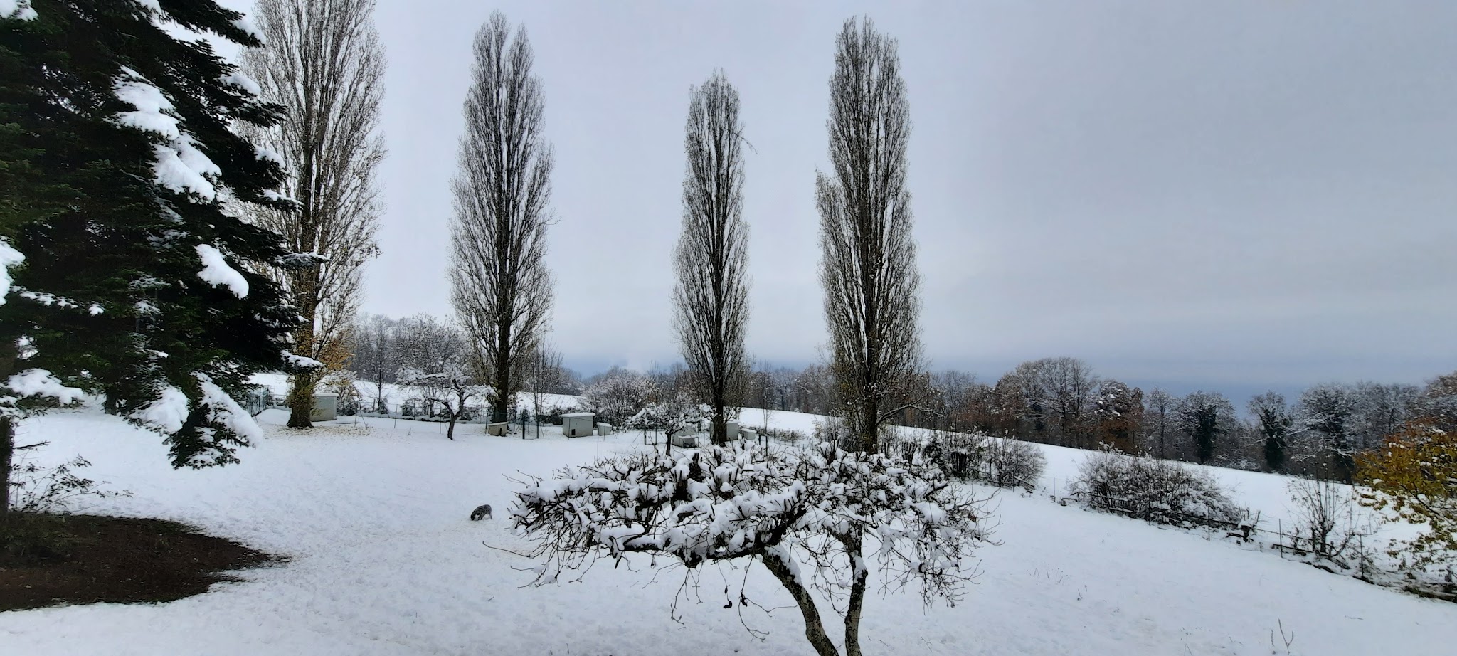 L'Eden Alpin — photo
