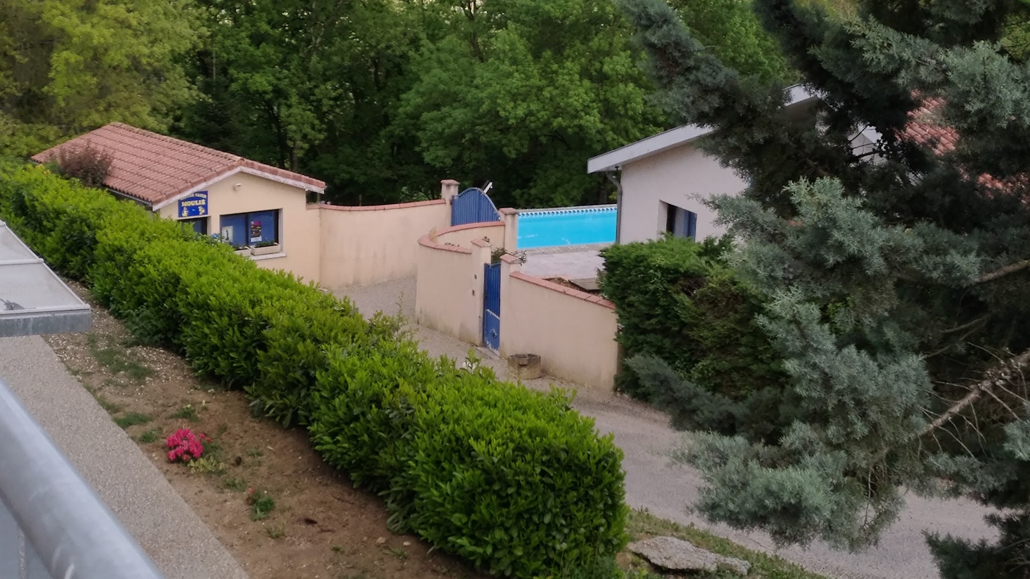 Centre Canin Moulie — photo
