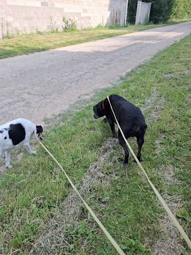 Trefle des Pattounes
