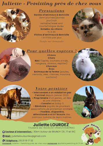 Juliette - Petsitting près de chez vous