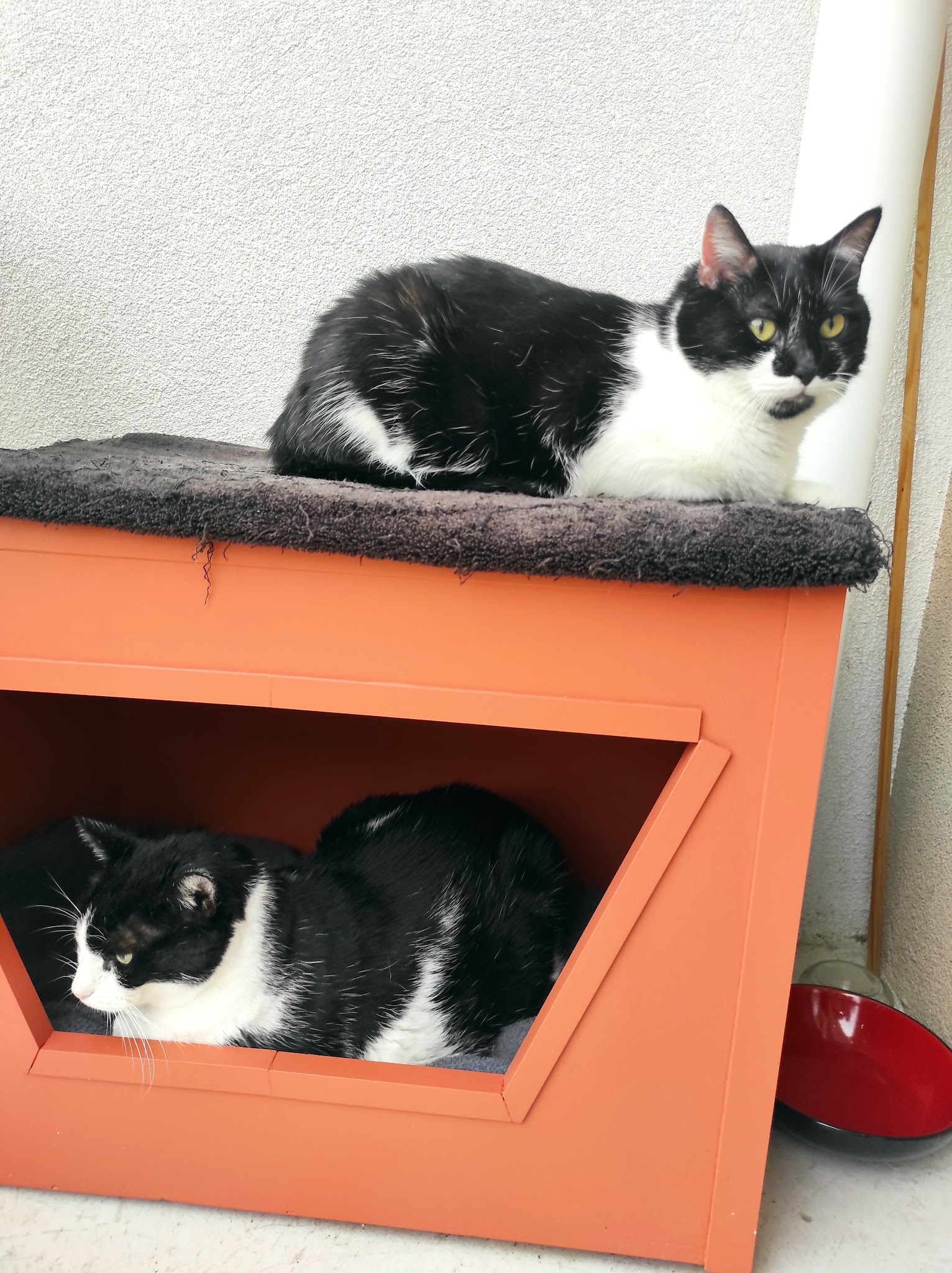 Fluffy's — photo