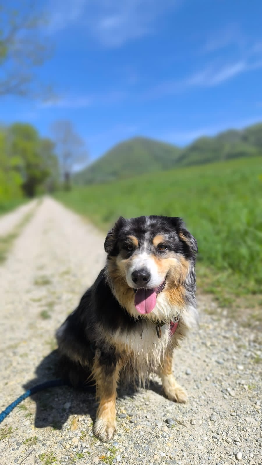 Compagnons des Sommets — photo