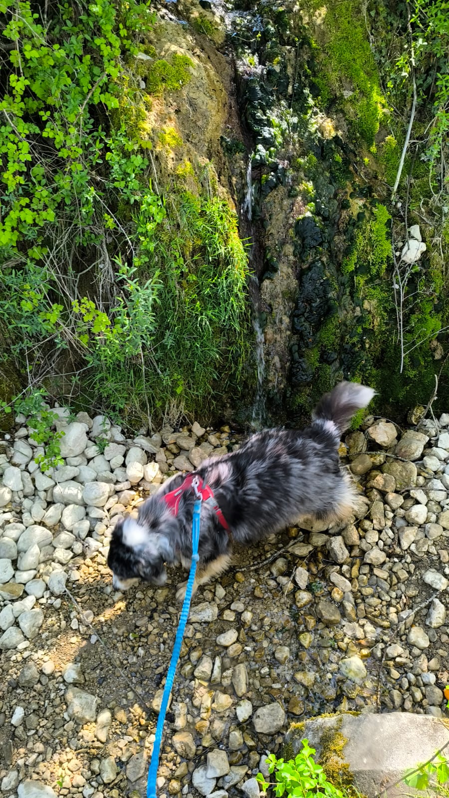 Compagnons des Sommets — photo