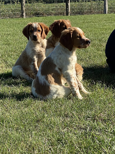 Pension canine des Sources de Rouadan