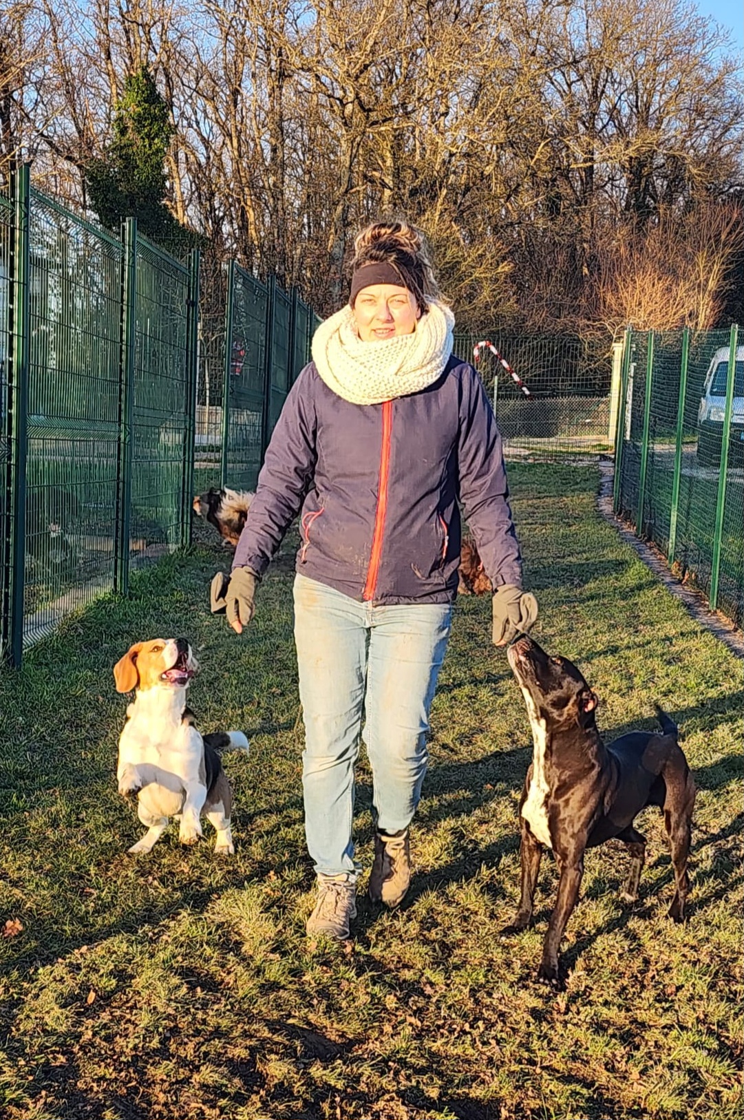 La vallée des 4 pattes — photo