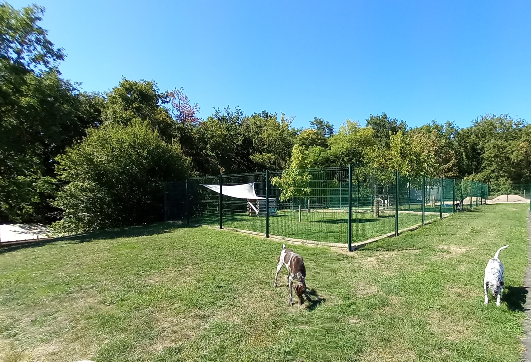 La vallée des 4 pattes — photo