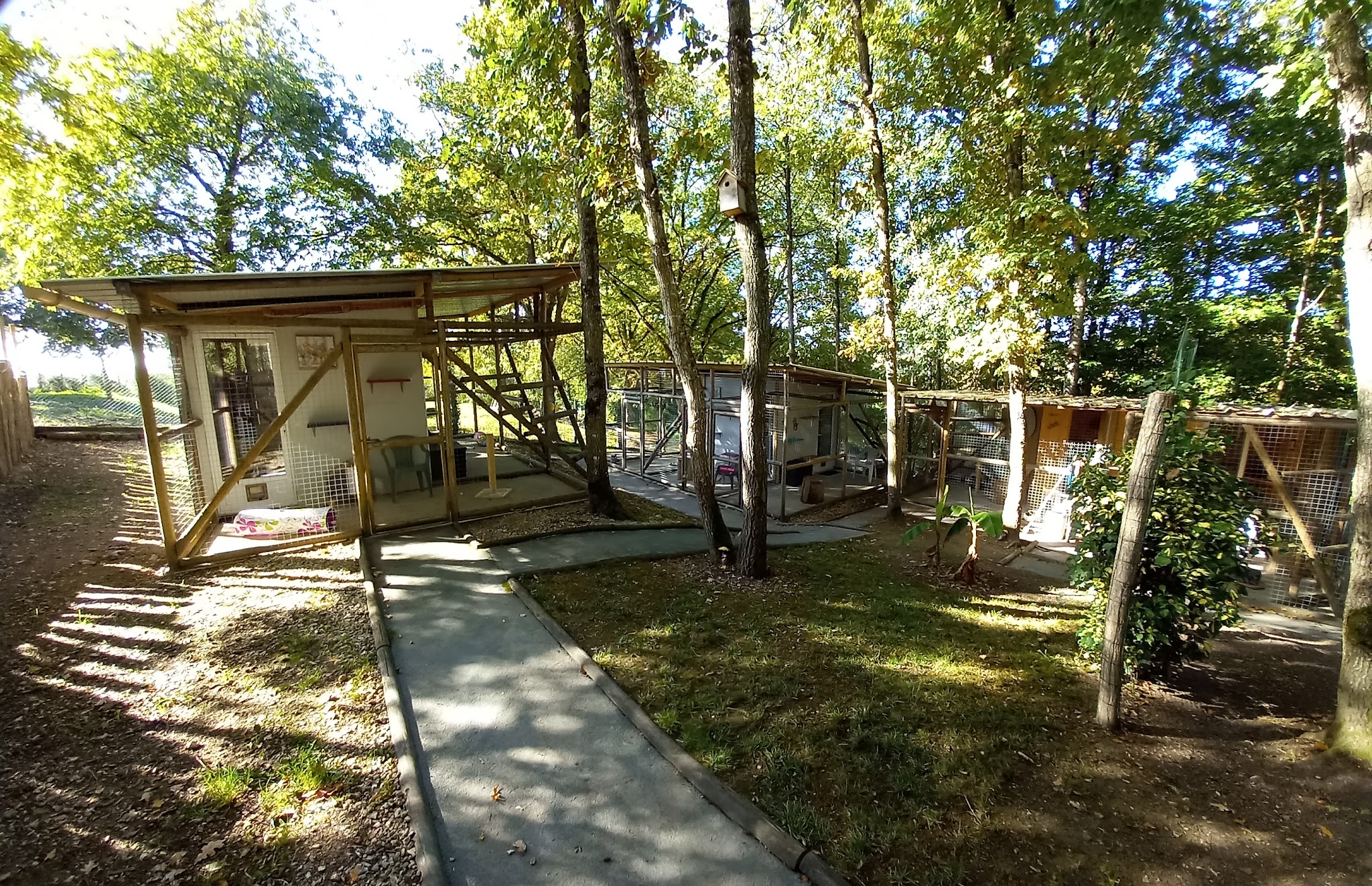 La vallée des 4 pattes