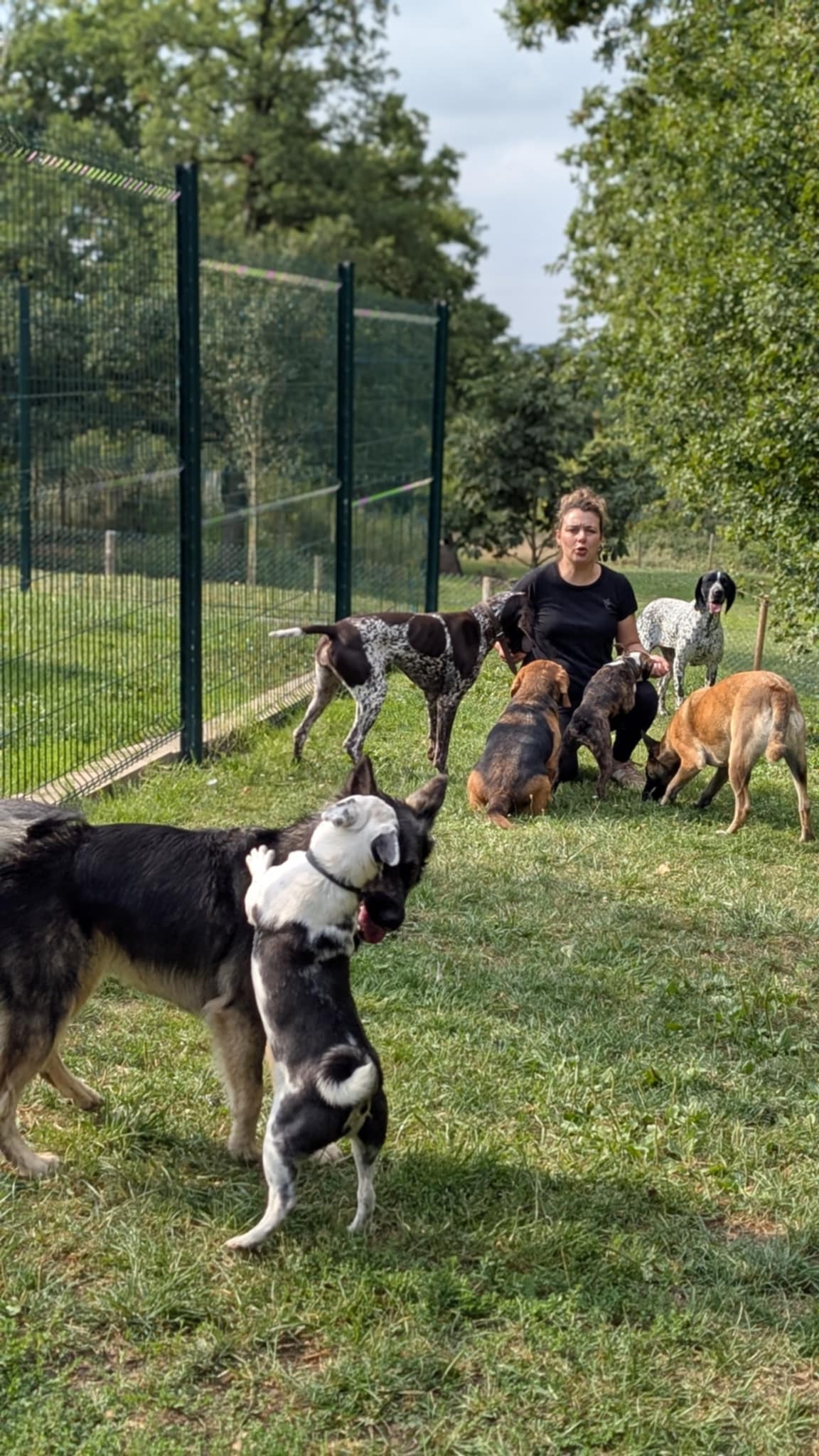 La vallée des 4 pattes — photo
