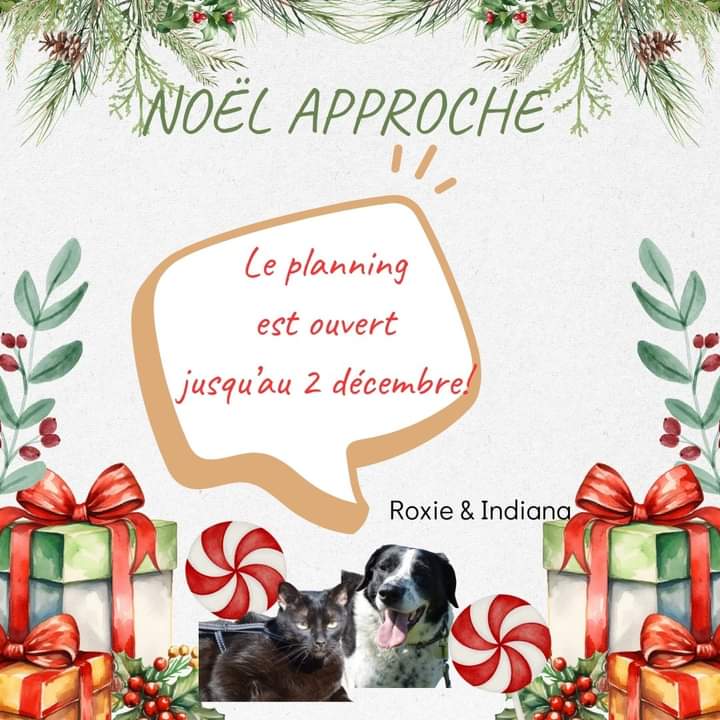 La compagnie de Nanie - GARDE A VOTRE DOMICILE - — photo