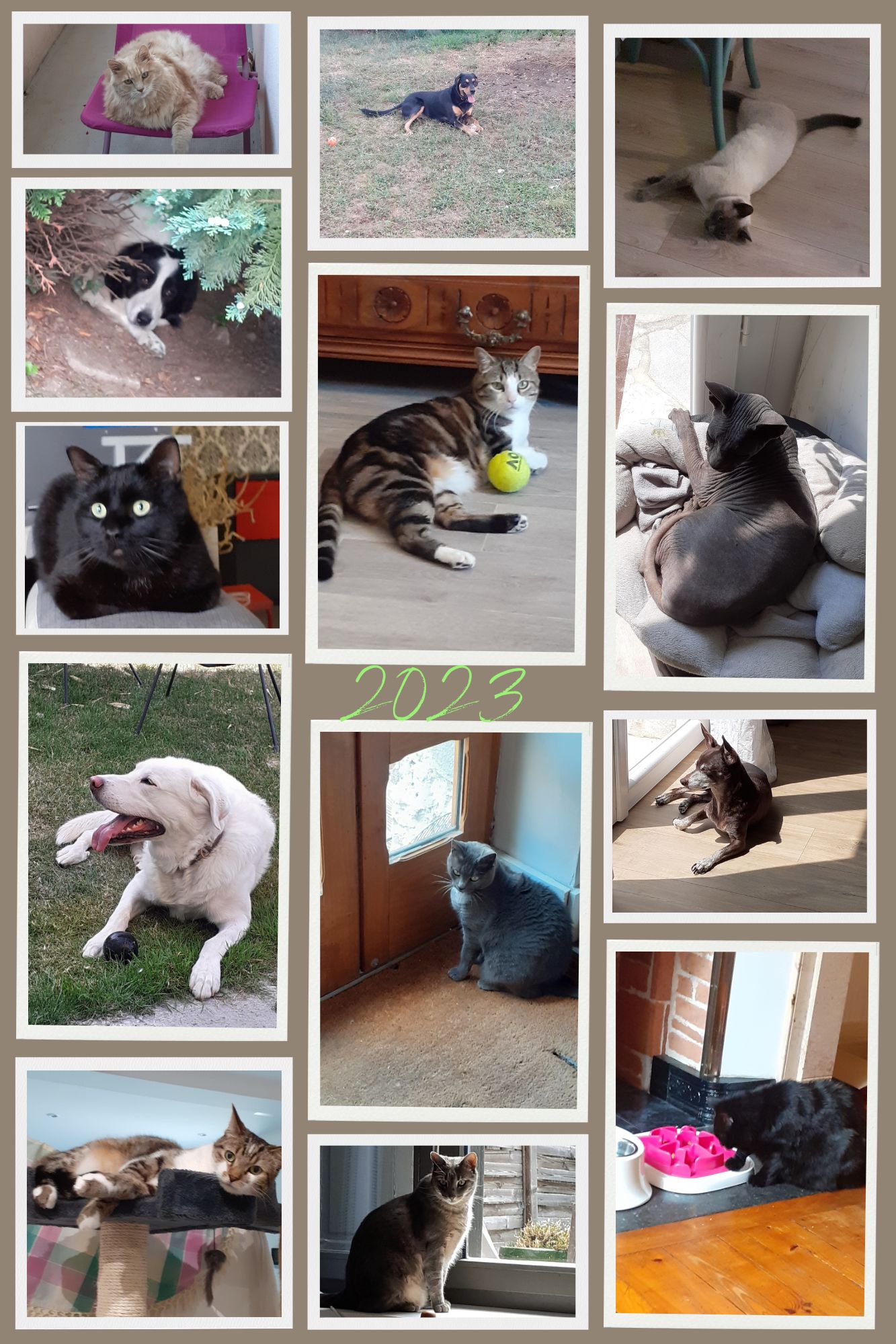 La compagnie de Nanie - GARDE A VOTRE DOMICILE - — photo