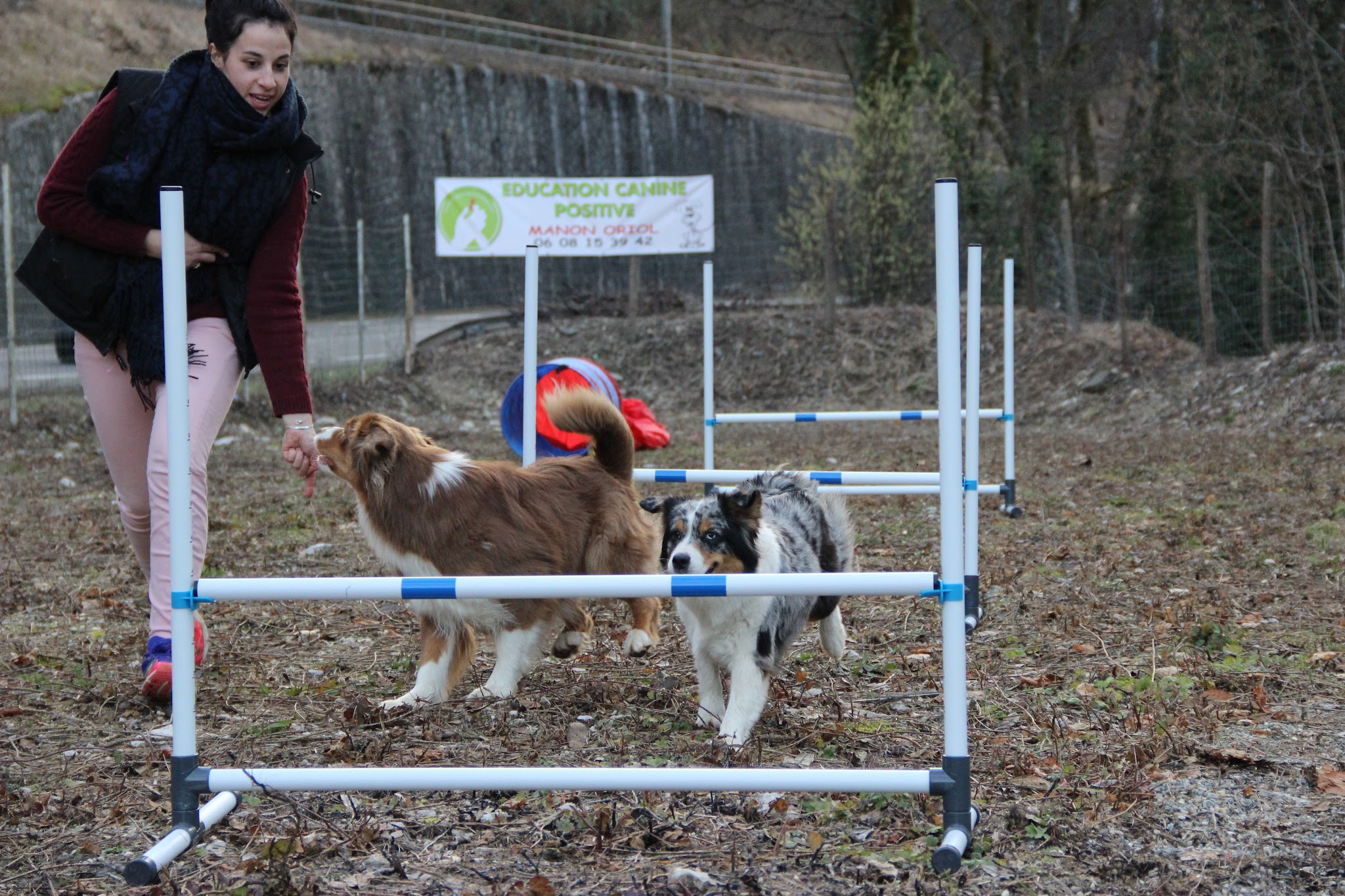 Des prouesses d'Hermes: éducateur à la méthode POSITIVE (ORIOL MANON), coach en comportement, sports canin, pet sitting — photo
