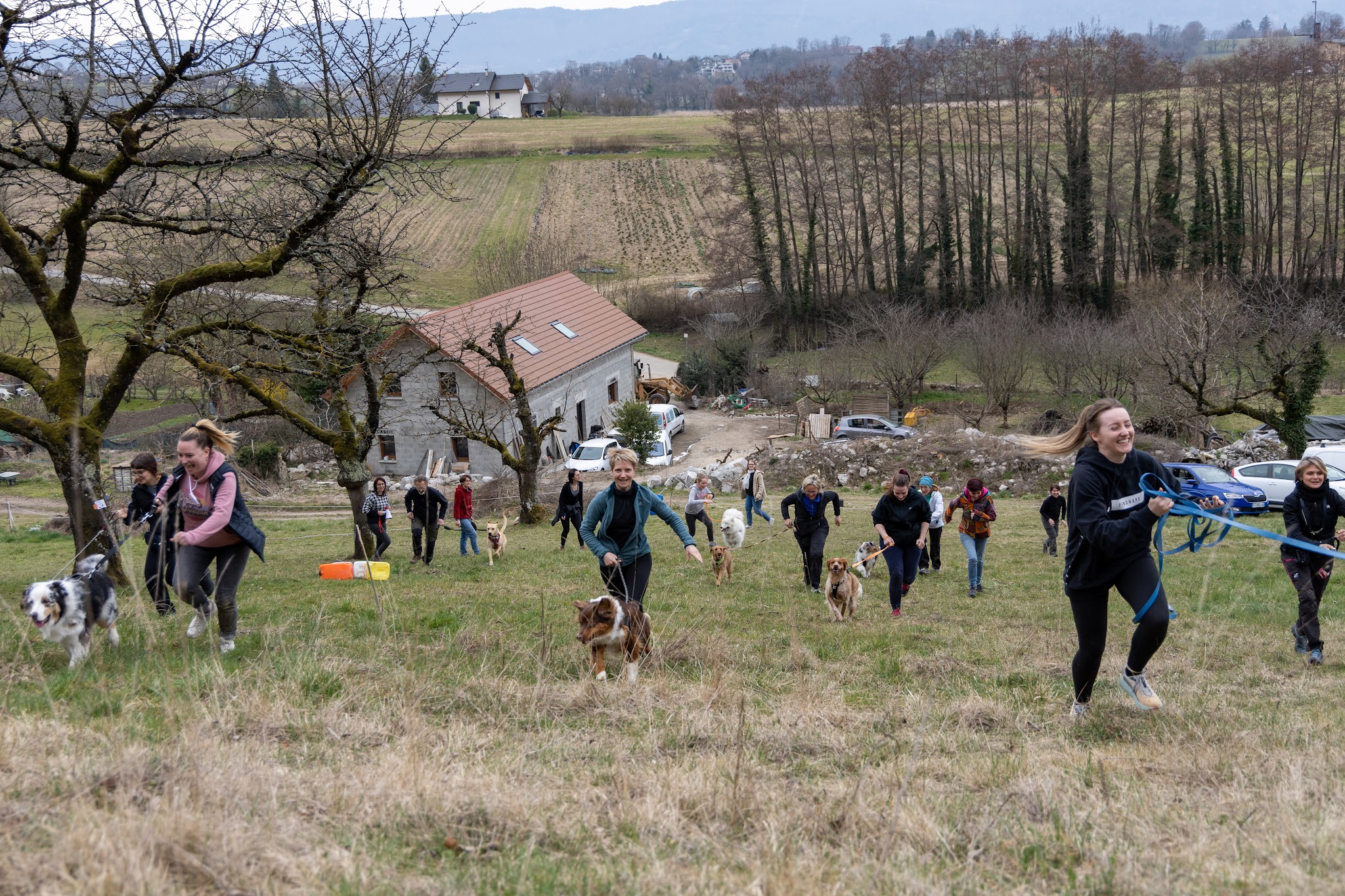 Des prouesses d'Hermes: éducateur à la méthode POSITIVE (ORIOL MANON), coach en comportement, sports canin, pet sitting — photo