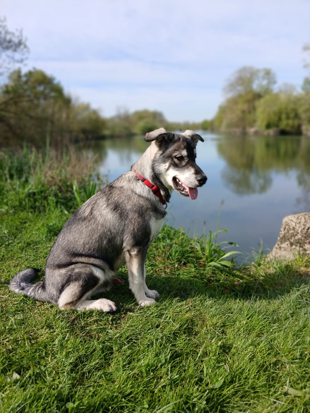 Aurore Animaux Services — photo