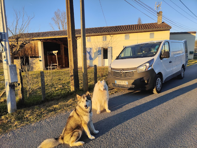 Pole Canin