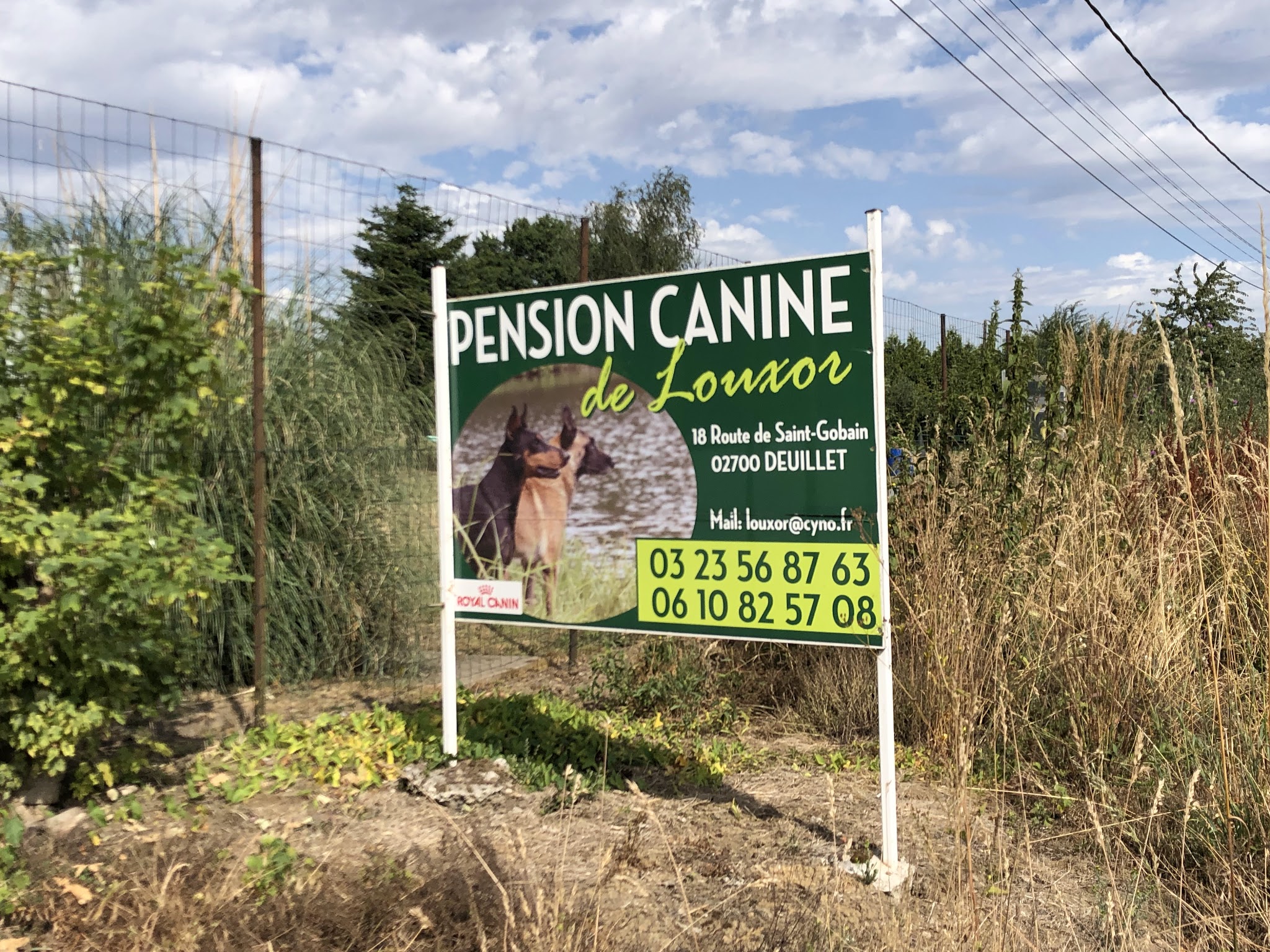 pension canine de louxor — photo
