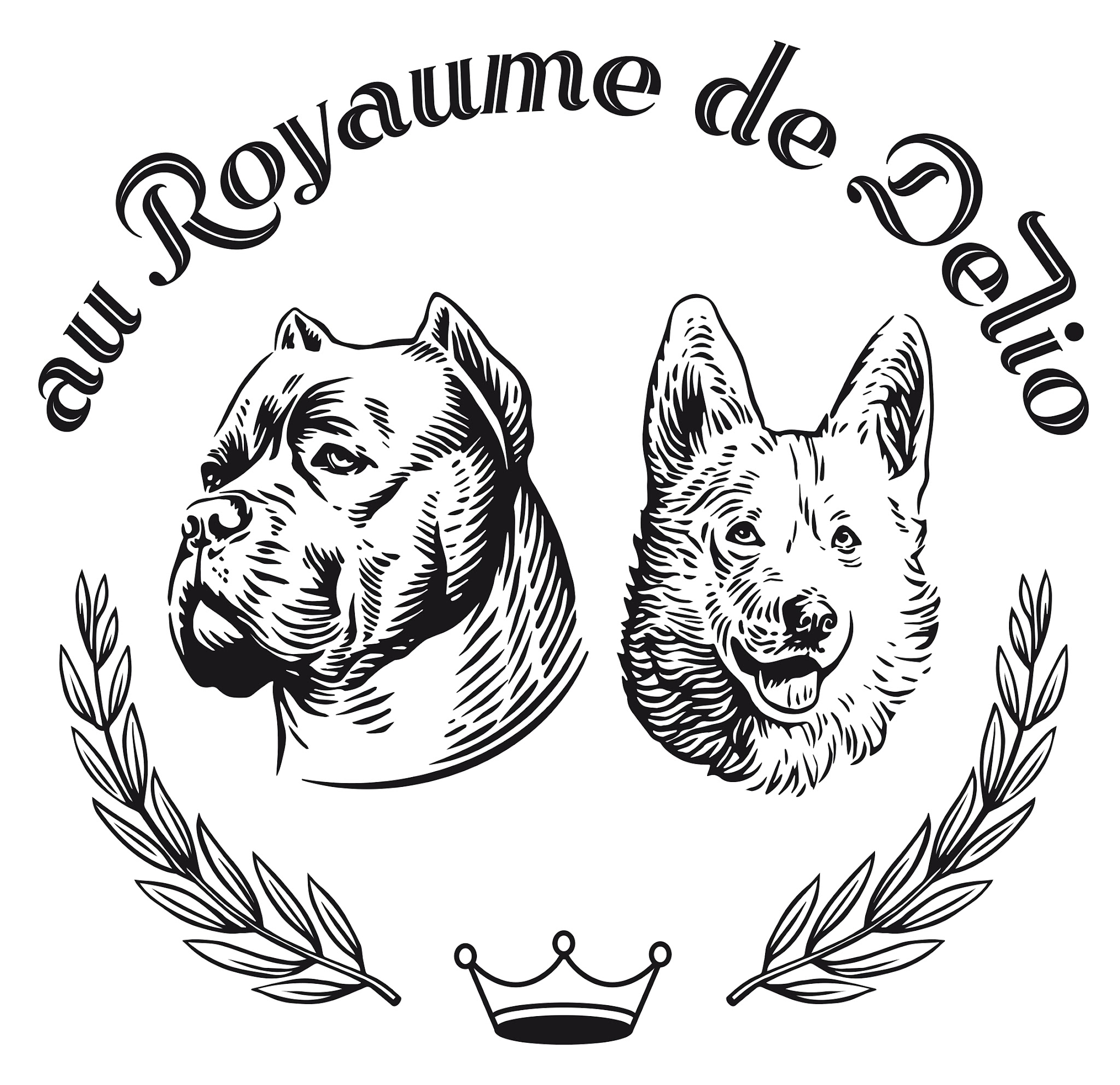 Pension Canine Au Royaume de Delio — photo