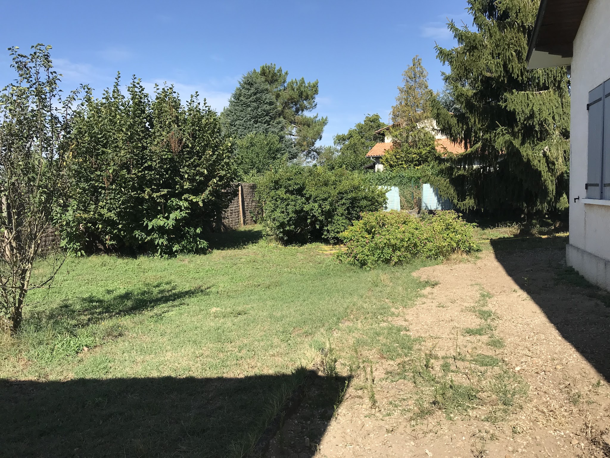 LaetiChiens — photo