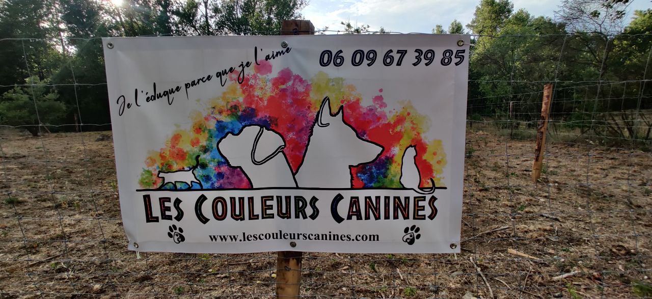 Les Couleurs Canines - Educateurs Canins et Pet-Sitters — photo
