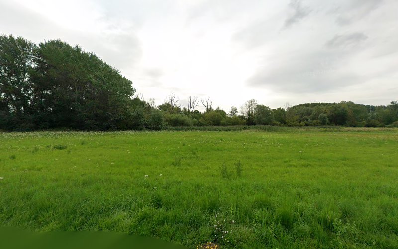 Visite, garde, pension : chats, chiens, animaux, Eure 27, Val d'Oise 95, Oise